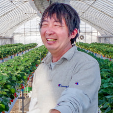 代表:安部 豊
