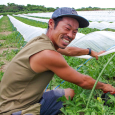 代表:山本隼人