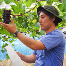 代表:三膳一成