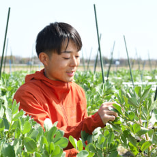 園芸担当:石井俊太