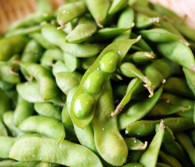 「枝豆・茶豆」の予約受付中!
