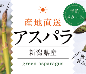 「アスパラガス」の予約受付が始まりました