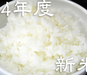 コシヒカリ・こしいぶきの新米予約注文、間に合います!