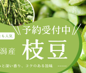 「枝豆･茶豆」の予約受付が始まりました