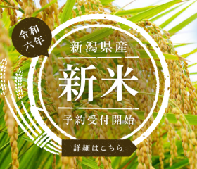 「令和6年度新米」の予約受付が始まりました