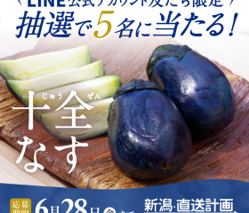 【黒十全茄子漬プレゼント!】LINE公式キャンペーンのお知らせ
