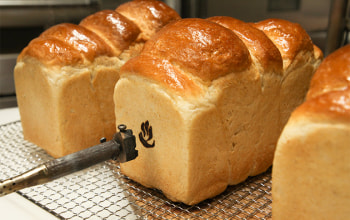 出湯温泉パン工房