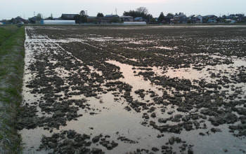 土作りにもこだわる 土作りにもこだわる