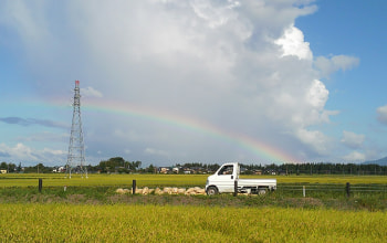 源氏ホタルが見られる町 源氏ホタルが見られる町