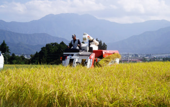 南魚沼宇津野産コシヒカリ　減農薬にこだわったお米です。