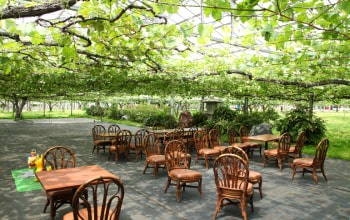 池田観光果樹園