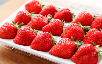 池田観光果樹園