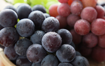 池田観光果樹園