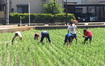 大人と子どもが一緒になって田んぼを作る 大人と子どもが一緒になって田んぼを作る