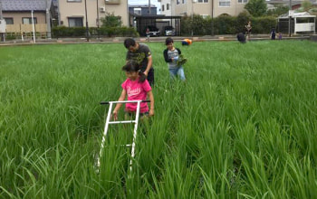 地域の子ども達との農業体験を通じて米作りの楽しさを伝えている 地域の子ども達との農業体験を通じて米作りの楽しさを伝えている