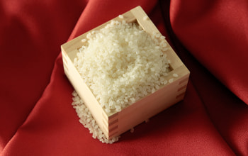 大粒の1.9mm以上のみを使用した厳選米 大粒の1.9mm以上のみを使用した厳選米