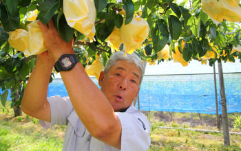3代目和泉栄さん 3代目和泉栄さん