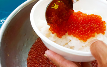 魚沼ますのいくら味噌漬け 魚沼ますのいくら味噌漬け