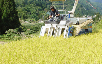 中田農産