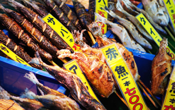 日本海鮮魚センター