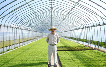 安心・安全で美味しいものを作り続ける 安心・安全で美味しいものを作り続ける