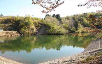 湧き水が貯められている 湧き水が貯められている