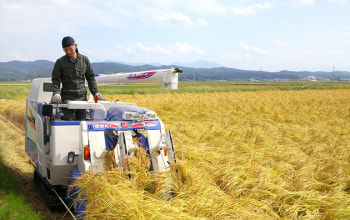 お米リラックス