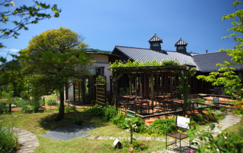 カーブドッチワイナリー