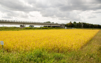 上野農場