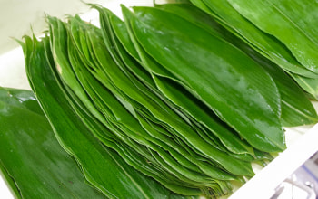 涌井金太郎商店