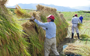 株式会社フエキ農園