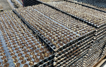 株式会社フエキ農園