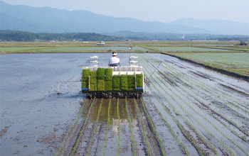 農事組合法人 木津みずほ生産組合