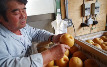 田辺農園