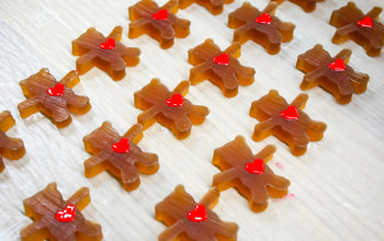 越乃雪本舗大和屋