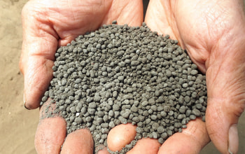 有限会社ナカノフーズ