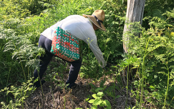 里山工房ふくふく