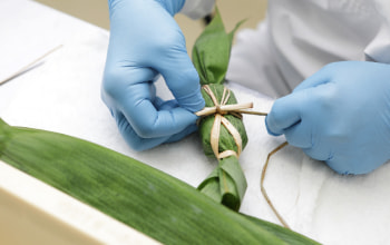 株式会社港製菓