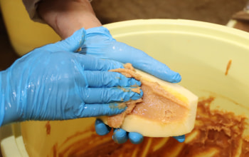 (企)川谷もより農産加工所