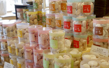 サンカントピュール