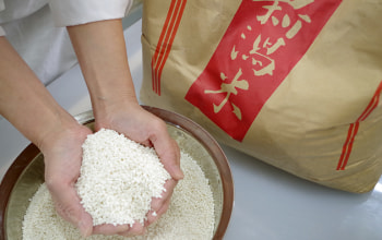 笠原製麺所