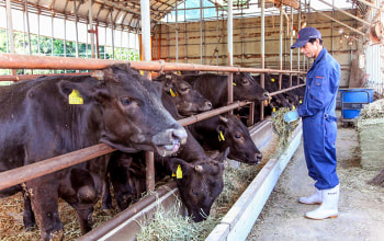 株式会社サクラフーズ