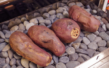 焼き芋専門店 ぼくのさつまいも