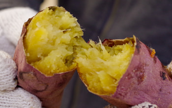 焼き芋専門店 ぼくのさつまいも