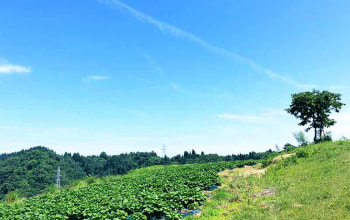 women farmers japan