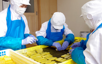 women farmers japan