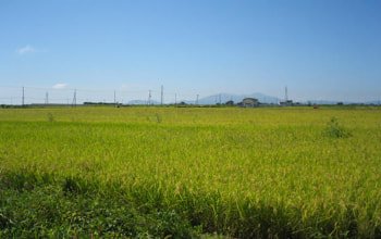 加茂有機米生産組合