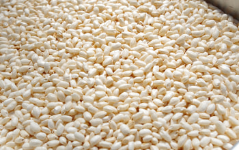 黒津ポン菓子本舗