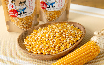 佐渡アグリカルチャーシップ