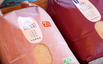 家紋が入ったオリジナルパッケージ 家紋が入ったオリジナルパッケージ